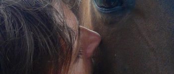 Equine Assisted Coachsessie Volwassenen